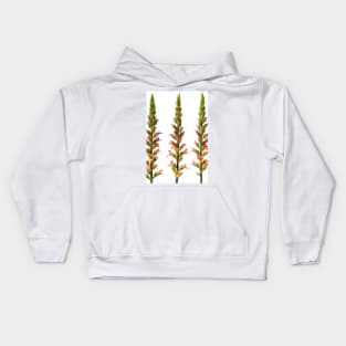 Digitalis x valinii  Foxglove Kids Hoodie